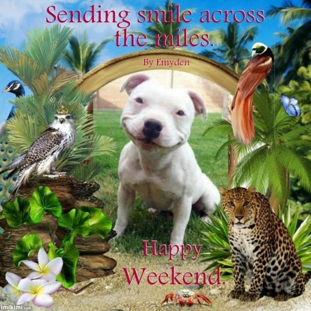 10 Weekend Quotes, Sayings And Images To Make You Happy - picture 2