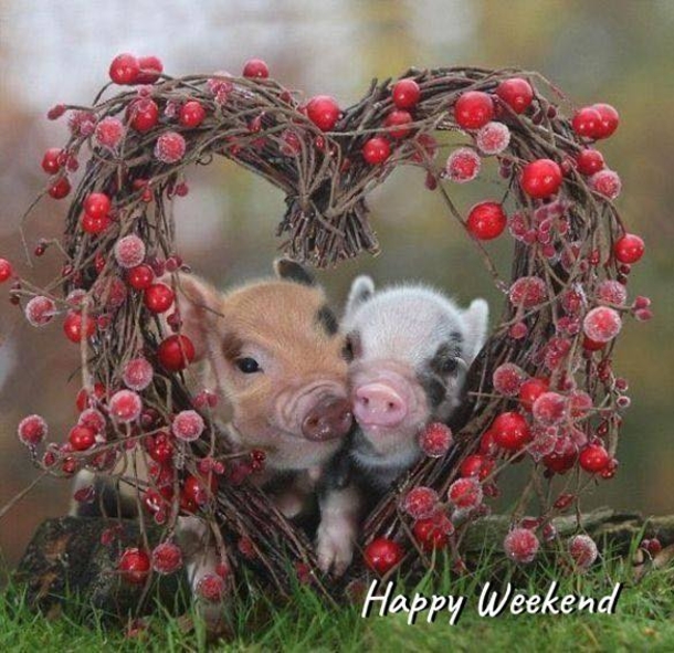 10 Weekend Quotes That Are Full Of Blessings (2023) - picture 7