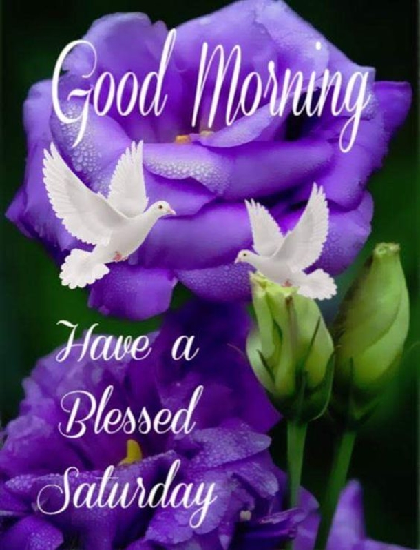 10 Weekend Saturday Quotes With Images - picture 4
