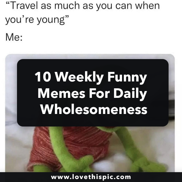 10 Weekly Funny Memes For Daily Wholesomeness