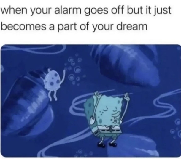 10 Weekly Funny Memes For Daily Wholesomeness - picture 6