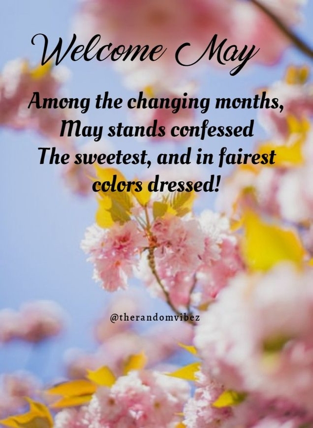 10 Welcome May Quotes To Bring Happiness To The New Month - picture 10