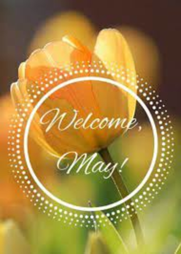 10 Welcome May Quotes To Bring Happiness To The New Month - picture 7