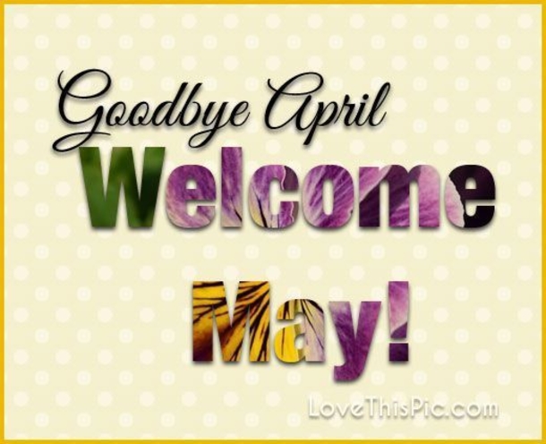 10 Welcome May Quotes To Bring Happiness To The New Month - picture 8