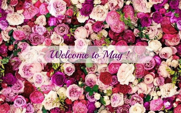 10 Welcome May Quotes To Bring Happiness To The New Month - picture 9