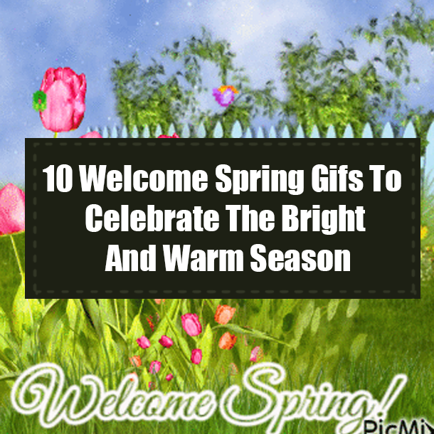10 Welcome Spring Gifs To Celebrate The Bright And Warm Season