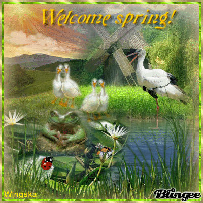 10 Welcome Spring Gifs To Celebrate The Bright And Warm Season - picture 8