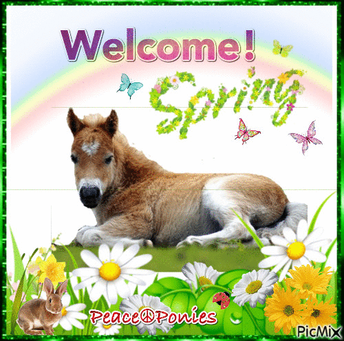 10 Welcome Spring Quotes To Get Ready For The New Season - picture 11