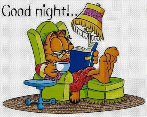 10 Welcoming Good Night Quotes And Sayings - picture 10