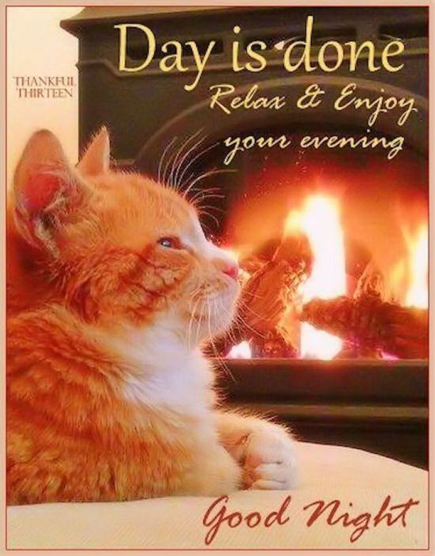 10 Welcoming Good Night Quotes And Sayings - picture 3