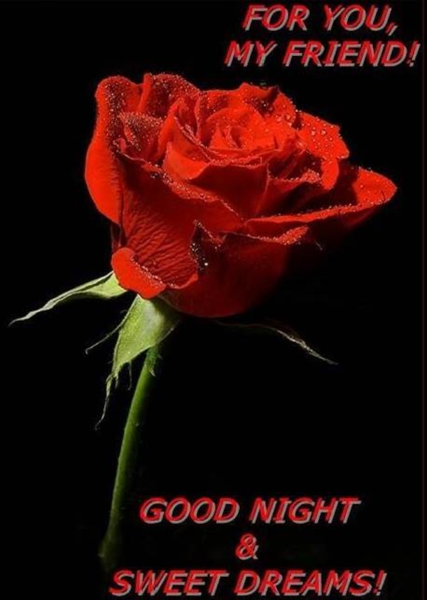 10 Welcoming Good Night Quotes And Sayings - picture 9