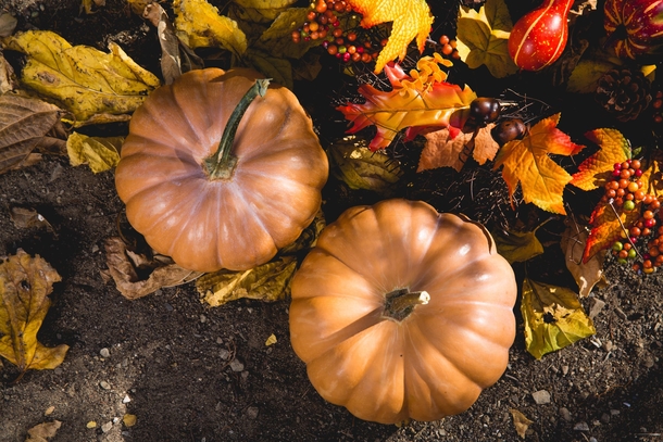 10 Wickedly Cool Halloween Images - picture 11
