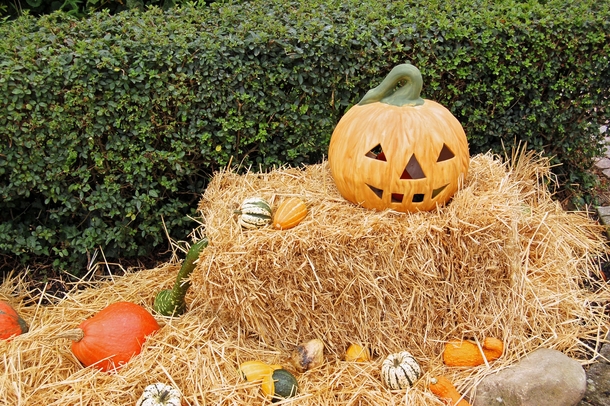 10 Wickedly Cool Halloween Images - picture 2