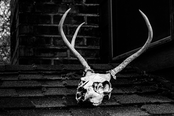10 Wickedly Cool Halloween Images - picture 4