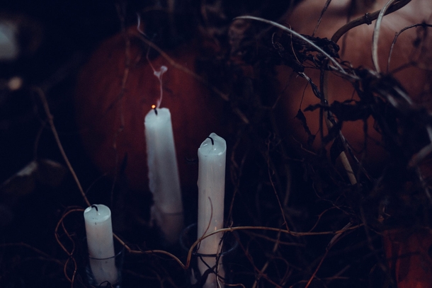 10 Wickedly Cool Halloween Images - picture 9