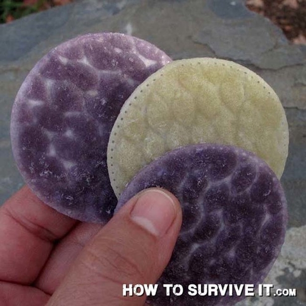 10 Wilderness and Survival Hacks You Must Know - picture 5