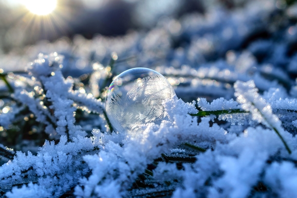 10 Winter Photography Images To Remind You That Winter Is Here - picture 12