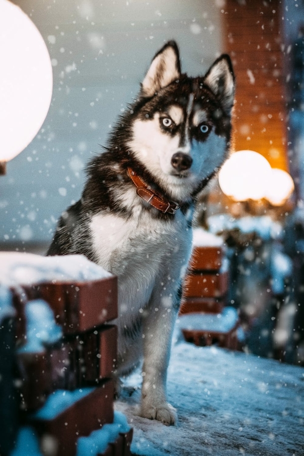 10 Winter Photography Images To Remind You That Winter Is Here - picture 4
