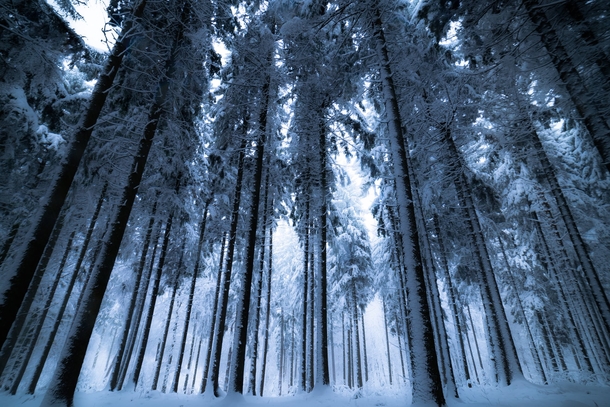 10 Winter Photography Images To Remind You That Winter Is Here - picture 6