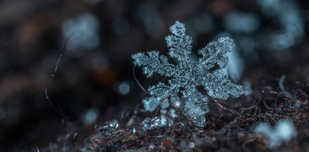 10 Winter Photography Images To Remind You That Winter Is Here - picture 7