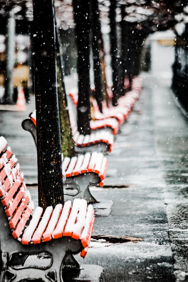 10 Winter Photography Images To Remind You That Winter Is Here - picture 8