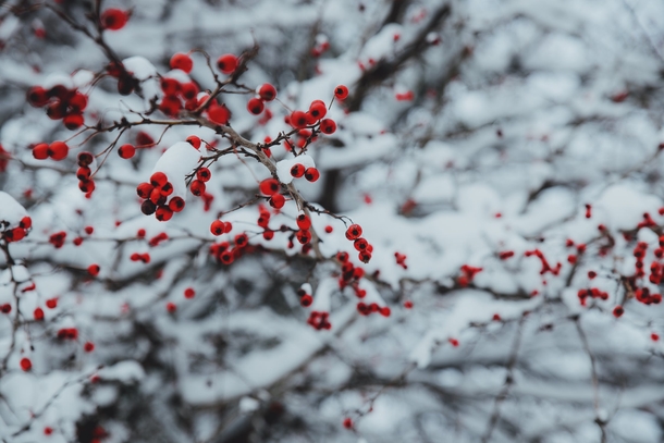 10 Winter Photography Images To Remind You That Winter Is Here - picture 9