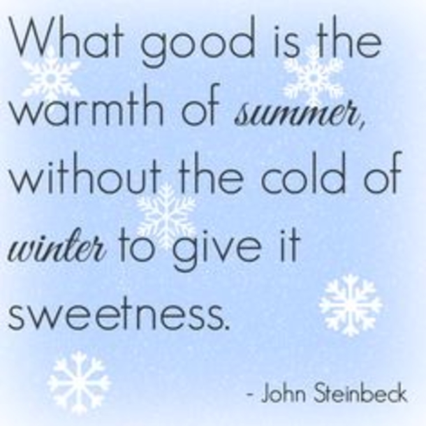 10 Winter Quotes And Sayings - picture 12
