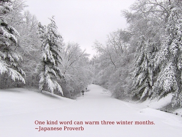10 Winter Quotes And Sayings - picture 4