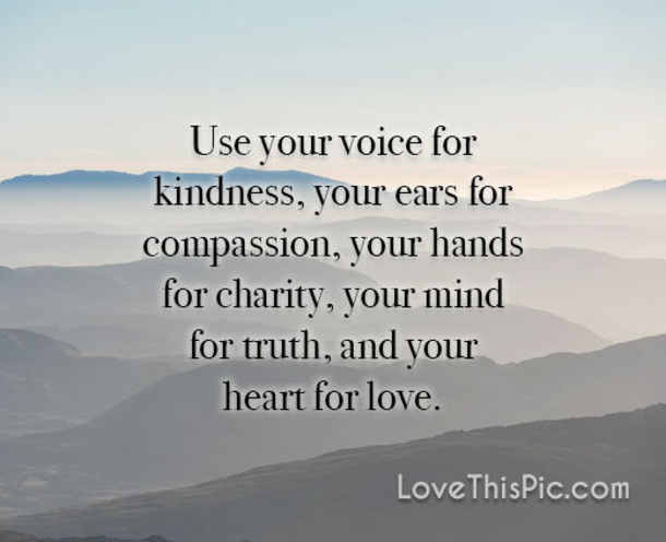 10 Wise Life Quotes To Live By Daily - picture 4