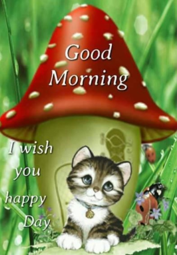 10 Wishes For A Good Morning To Share - picture 5
