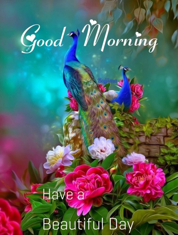 10 Wishes For A Good Morning To Share - picture 7