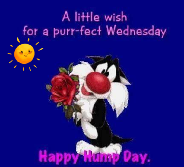 10 Wishes For A Wonderful Wednesday - picture 11