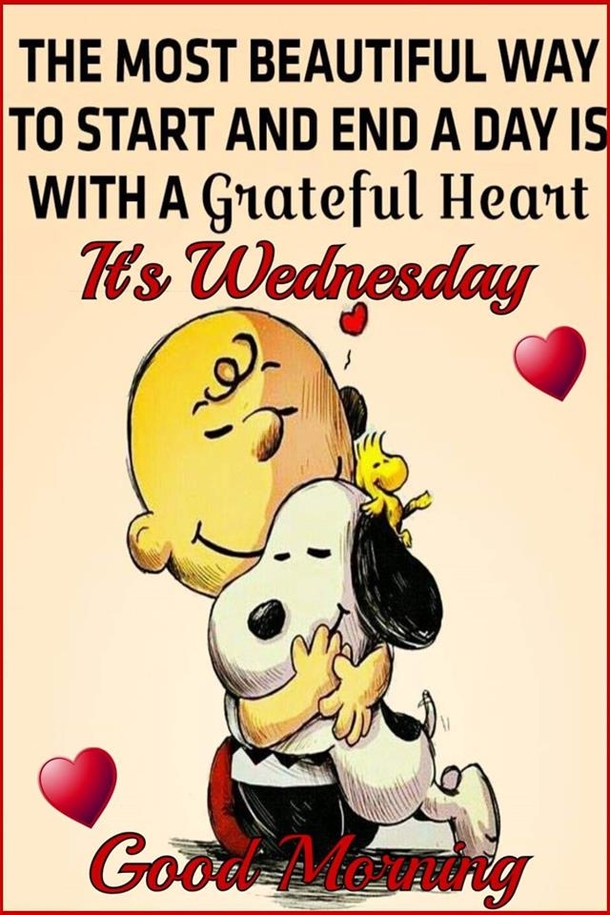 10 Wishes For A Wonderful Wednesday - picture 7