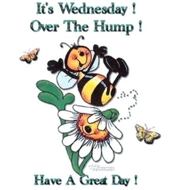 10 Wishes For A Wonderful Wednesday - picture 9