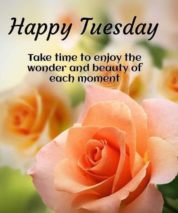 10 Wishes & Blessings For A Beautiful Tuesday - picture 11