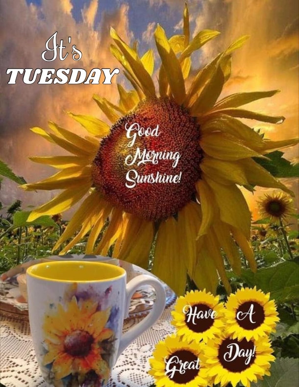 10 Wishes & Blessings For A Beautiful Tuesday - picture 12