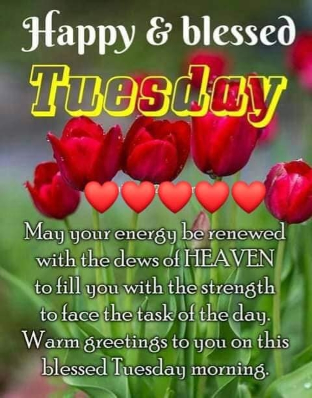 10 Wishes & Blessings For A Beautiful Tuesday - picture 4