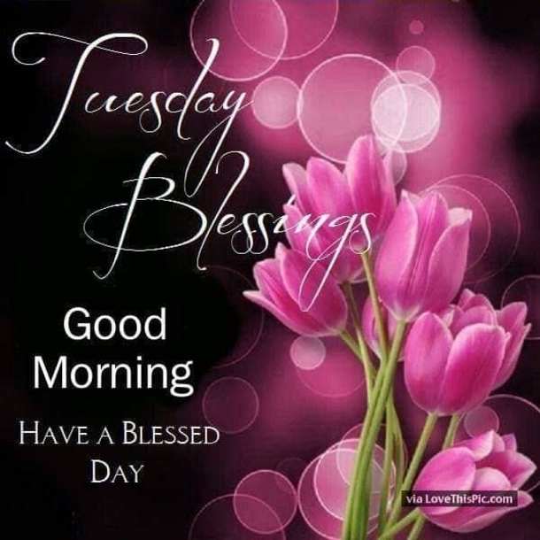10 Wishes & Blessings For A Beautiful Tuesday - picture 5