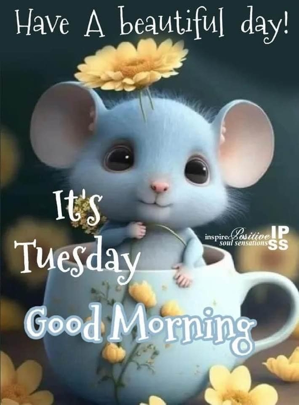 10 Wishes & Blessings For A Beautiful Tuesday - picture 8