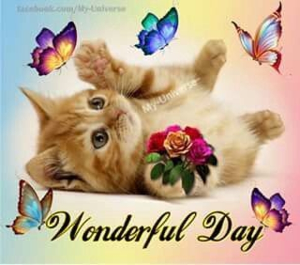 10 Wishes & Greetings To Have A Beautiful Day! - picture 6