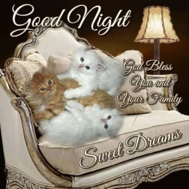 10 Wishful Good Night Quotes, Images & Sayings - picture 11