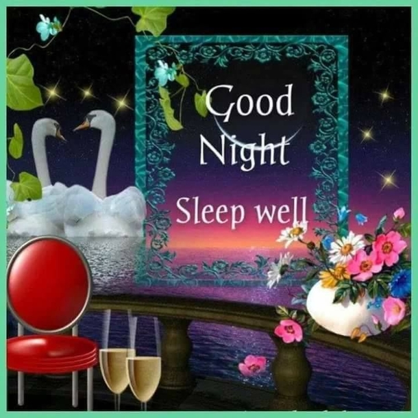 10 Wishful Good Night Quotes, Images & Sayings - picture 12
