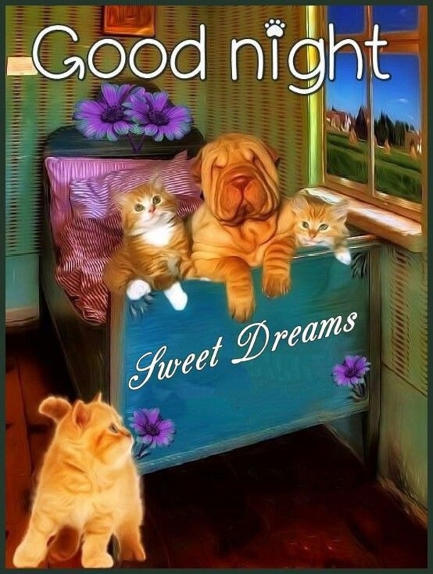 10 Wishful Good Night Quotes, Images & Sayings - picture 4