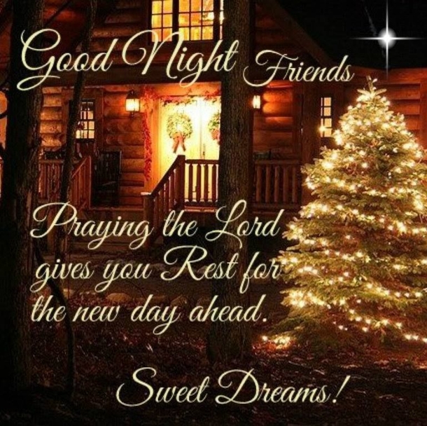 10 Wishful Good Night Quotes, Images & Sayings - picture 6