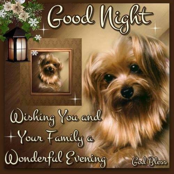 10 Wishful Good Night Quotes, Images & Sayings - picture 8