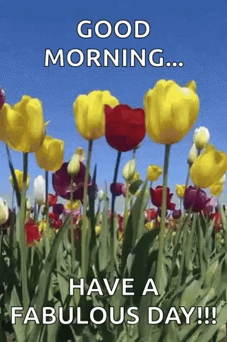 10 Wonderful Animated Good Morning Quotes - picture 11