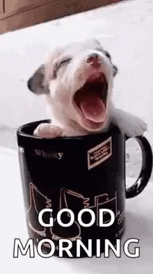 10 Wonderful Animated Good Morning Quotes - picture 2