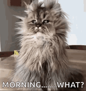 10 Wonderful Animated Good Morning Quotes - picture 8