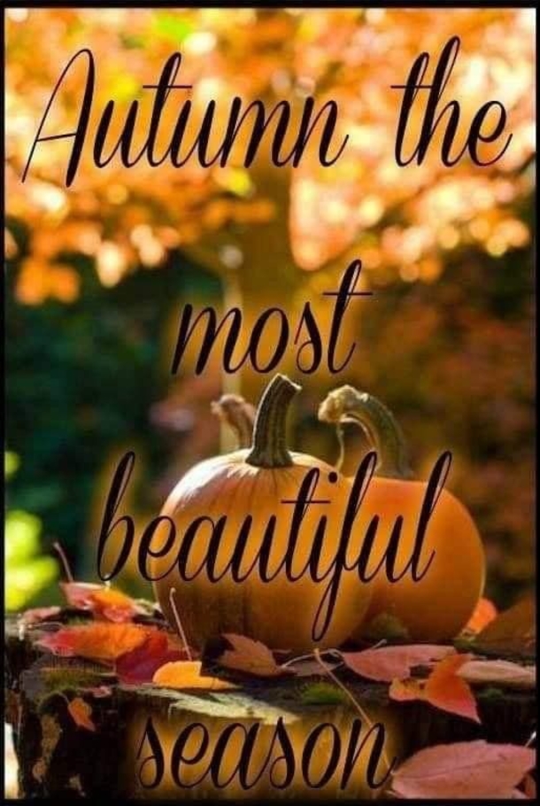 10 Wonderful Fall / Autumn Pics With Quotes For The New Season - picture 10