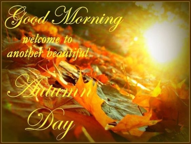 10 Wonderful Fall / Autumn Pics With Quotes For The New Season - picture 3